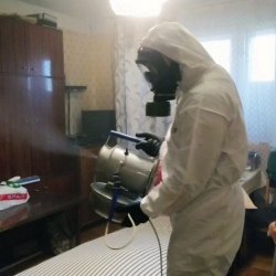 Дезинфекция от клопов в Дятьково