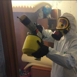 Уничтожение клопов в квартире. Дятьково